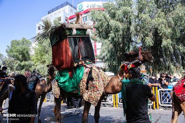 حضور ۲ هزار هنرور در مراسم نمادین کاروان اسرای کربلا در قم