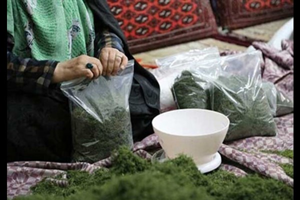  ایجاد صندوق اعتبارات خرد زنان روستایی در قم