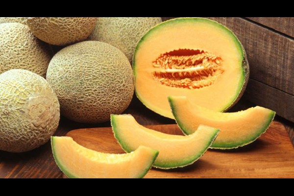  طالبی گنجینه‌ای طلایی در سفره تابستانی