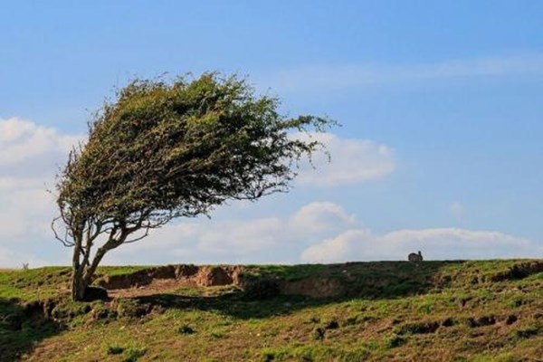 تندباد با سرعت ۸۰ کیلومتر بر ساعت قم را درمی‌نوردد