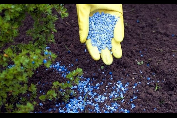 افزایش تأمین کودهای یارانه‌ای در قم