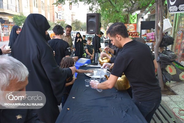 خدمت‌رسانی مواکب در شهادت امام رضا(ع)