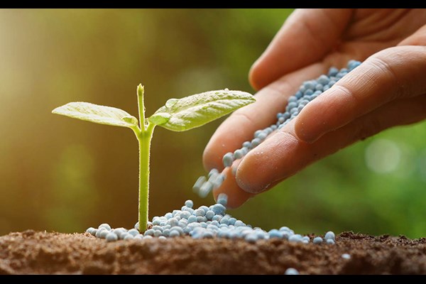 افزایش ۱۰۰ درصدی کود یارانه‌ای در قم