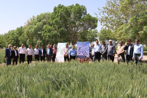 گندم‌کاران نمونه قم تجلیل شدند