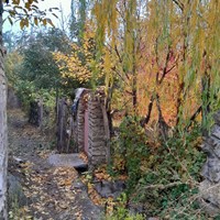 پائیز بهشتی روستای کرمجگان قم+ تصاویر 