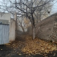 پائیز بهشتی روستای کرمجگان قم+ تصاویر 