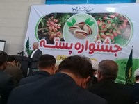 مراسم شکرانه برداشت پسته در قم برگزار شد+