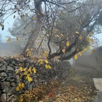 پائیز بهشتی روستای کرمجگان قم+ تصاویر 