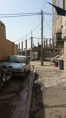سبز شدن تیر برق ها وسط خیابان های قم+تصاویر