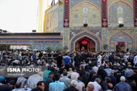 حال و هوای حرم امیرالمؤمنین علی (ع)