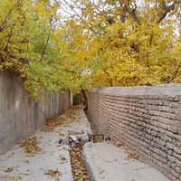 پائیز بهشتی روستای کرمجگان قم+ تصاویر 