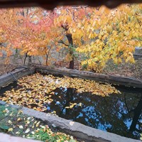 پائیز بهشتی روستای کرمجگان قم+ تصاویر 