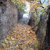 پائیز بهشتی روستای کرمجگان قم+ تصاویر 